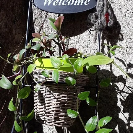 Il Borgo Casa Vacanze Miranda *
